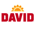 David logo